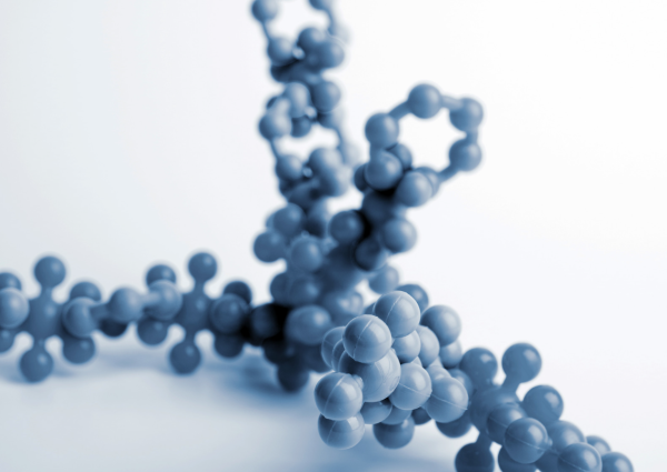 Screenshot 2025-12-24 161346