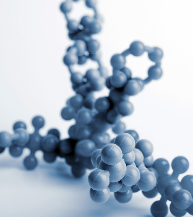 Screenshot 2025-12-24 161346